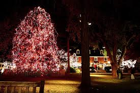 Princeton Christmas Tree Lighting